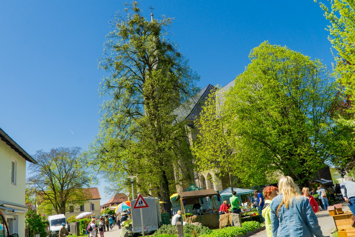 O Fotomagazin / Pregrtner Pflanzl- und Gartenkirtag 2016